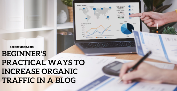 Beginner’s Practical Ways to increase organic traffic in a blog