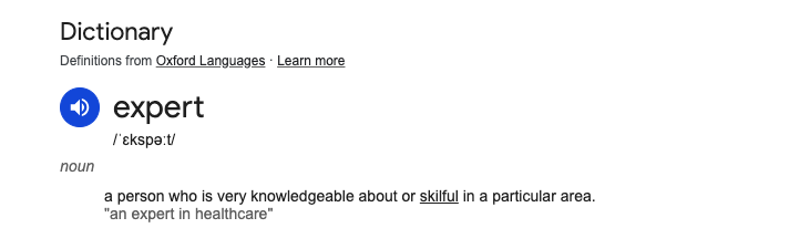 expert meaning by Google